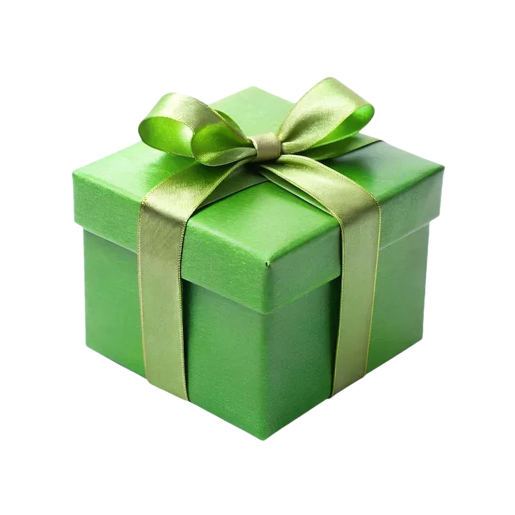 Mystery Gift